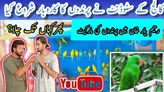 Birds market in Rahim Yar Khan | Birds series 1 | Cheap birds | SAA PRODUCTION