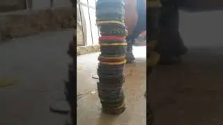 Taso oynuyoruz