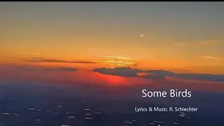 Some Birds  Lyric Video by  Here2Rock  #pianoballade #pianobeginners #singersongwriter #pianoblues