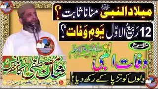 Allama Syed Sabteen Shah Naqvi Sahib وفات النبیﷺ شان مصطفے ﷺ کانفرنس رحمانیہ مسجد تاج کالونی فیصل آ