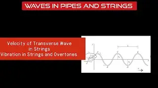 Velocity of Transverse Wave in Strings | Overtones in Strings | Grade XII Physics | NEB