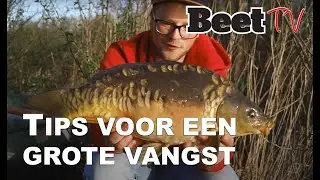 Tactische tips voor veel brasem, zeelt en karper vangst  |  Beet