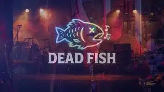 Dead Fish Promo 2026