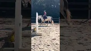 Jack B Quick Does Dressage!