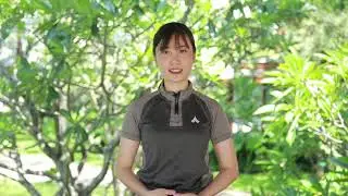 Post-Exercise Stretches
