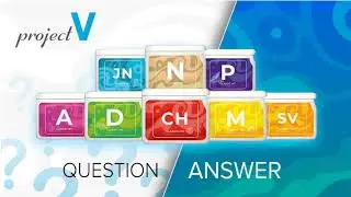 Project-V - Question Answer - Registration in VISION via SESSIA:  