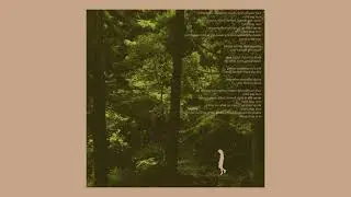 Tottomori ~ Stray
