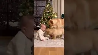 Happy Family Moment Under the Christmas Tree: Baby, Puppy, and Dog #dog
