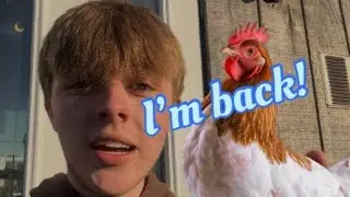 How chicken keeping has been going! (And a new coop design) 