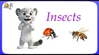 Amazing Insects for Kids | Educational Video for Toddlers & Preschoolers | Domans cards
