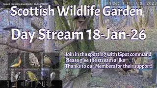 Day Stream January 18th 2026 | Bird Feeders, Wildlife Cameras Scotland UK from SWG