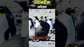 Gold Harbour | Antarctica Penguin Vlogs | Antarctica ship | ANTARCTICA Trip