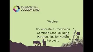 Collaborative Practice