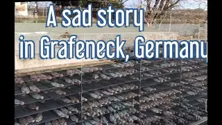 The Grafeneck #Mercykilling #Germany #History