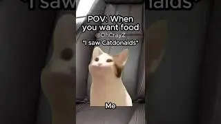 CAT MEMES 🐱 WHEN YOU WANT FOOD #relatable #cat #funny #family #shorts