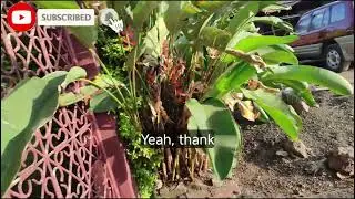 Home House Tour in Arusha Tanzania | Garden & Peaceful Surroundings🏡🇹🇿