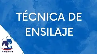 12 Capacitaci&oacute;n en ganader&iacute;a lechera sustentable: T&Eacute;CNICA DE ENSILAJE