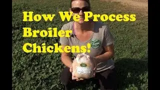 Raising Broiler Chickens in AZ - Processing