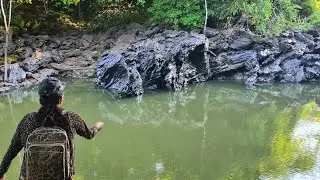 Are there any fish? 🐟