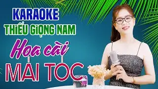Karaoke Song Ca | HOA CÀI MÁI TÓC - Thiếu Giọng Nam | Song Ca Với Lê Liễu