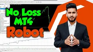 🤖No Loss Forex MT4 Robot 🔥Free Download🔥