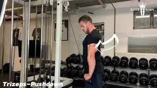 Trizepsdr&uuml;cken am Kabelzug - Anleitung durch Personal Trainer #trizeps