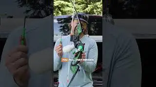 Best Bowfishing Recurve Bow? 🏹 AMS WaterMoc Review #bowfishing