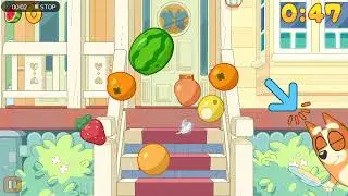 FRUIT NINJA NEW video😍FRUIT NINJA NEW video👉👍