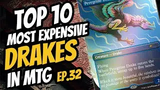 Top 10 Most Expensive Drake Creatures in MTG | Ep.32