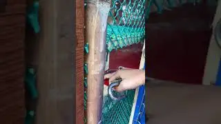 কমখরচে ছাদে অল্পজায়গা নিয়ে(২তালা)মুরগীরফার্ম।Duplex Chicken/poltry Farm Ideas, SmallSpace/Rooftop.