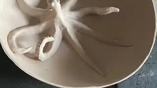 Les inspirations d'Emilie Janiaud, porcelainière