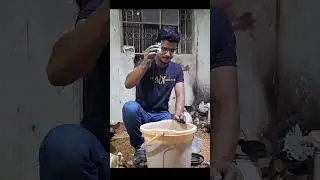 Desi Chicks Vaccination day 16🐥❤️ | Small Scale Desi Chicken Farming at Home 🏠 #shortsindia