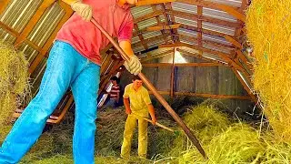 Modern way of old fashioned hay making!
