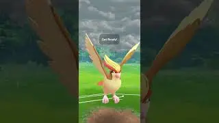 Catch Cup