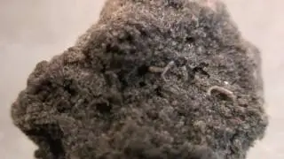 [PT. 1 ] Merry Christmas to All My Subscribers !! Getting Medicated With FULLMELTHASH !