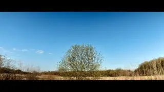 Token Creek Park in Madison, WI | Spring Nature Walk and Dusty Piano Chillhop | Nature and Music 43