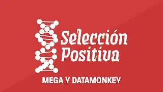 C&oacute;mo calcular dN-dS (Ka/Ks) - Bioinform&aacute;tica B&aacute;sica #2