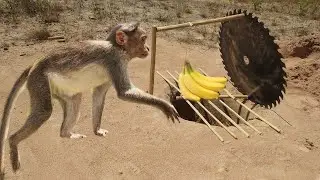 How To Make A Monkey Trap Using Cutter Sawing With Banana Simple Trap  || Animals Traping ||