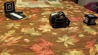 Anki Vector Robot Demo - Your Smartest Companion - Best Demo Online