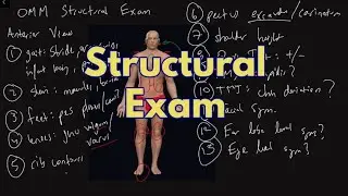 OMM Structural Exam - Intro and Overview