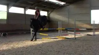 IMGP1494