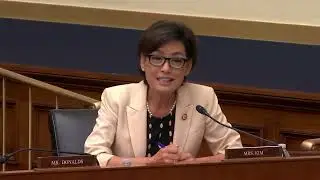 Rep. Young Kim Urges for Streamlined Data Privacy Standards at Financial Services Hearing