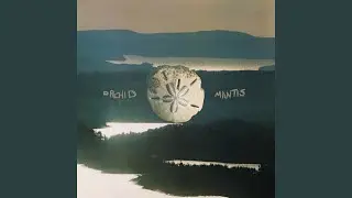 The Sinking World