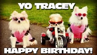 Happy Birthday! Tracey