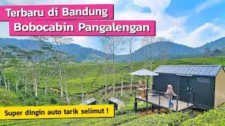 STAYCATION MANTAP DI TENGAH KEBUN TEH BANDUNG SELATAN ‼️ BOBOCABIN PANGALENGAN BANDUNG