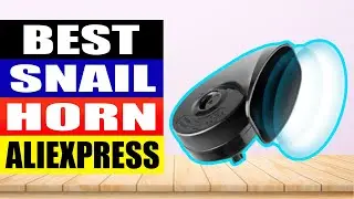 TOP 4 Best Snail Horn Review 2024