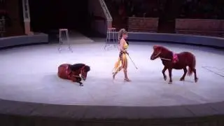 Империя львиц. Часть 1. Омский цирк
