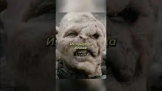 Сколько лет жили Орки