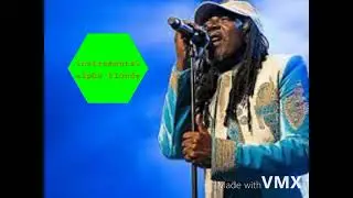 alpha blondy beat reggue 