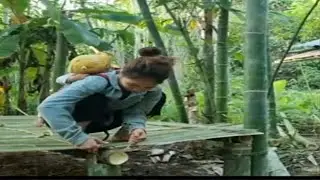 Mother and Son Build a Beautiful Bamboo House on Stilts | DIY Nature Home Project